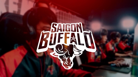 Saigon Buffalo phải ký lại hợp đồng với toàn bộ tuyển thủ